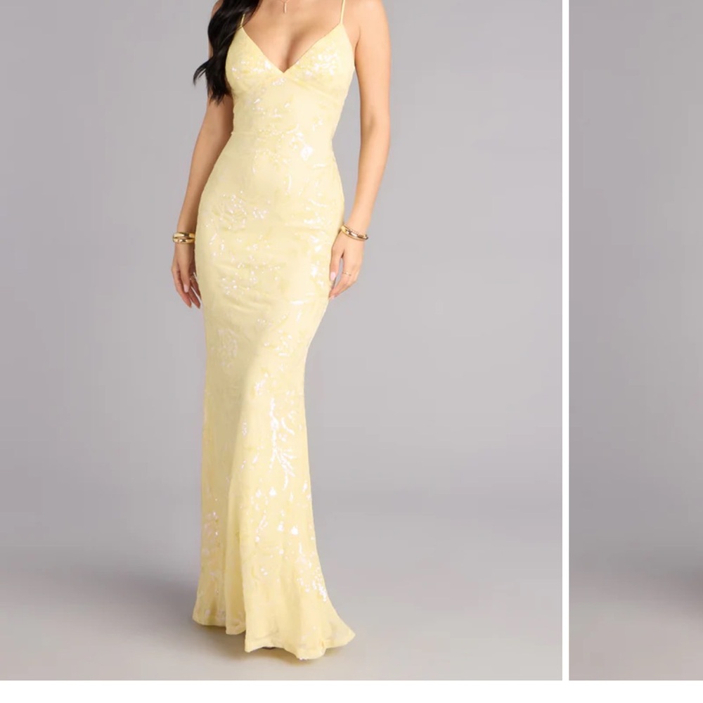 Windsor dress NWT